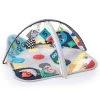 Baby Einstein Sensory Play Space Activity Gym 2 Baby Einstein Sensory Play Space Activity Gym -Children's Shop baby einstein sensory play space activity gym