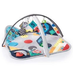 Baby Einstein Sensory Play Space Activity Gym