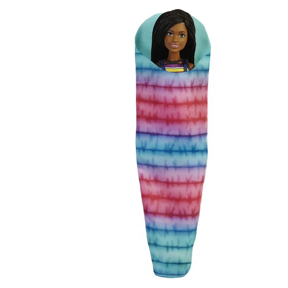 Barbie It Takes Two Brooklyn Camping And Accessories Doll 5 Barbie It Takes Two Brooklyn Camping And Accessories Doll - Image 3