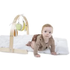 Childhome Toy Fruit Set For Baby Gym -Children's Shop childhome toy fruit set for baby gym 6