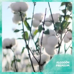 Aqua Wipes 3 Pack 144 Units -Children's Shop dodot aqua wipes 3 pack 144 units 6