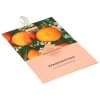 Genérico Aromatic Bag For Fruit Cabutaries 16X12 -Children's Shop generico aromatic bag for fruit cabutaries 16x12 1