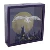 Harry Potter Hedwig Frame Money Box -Children's Shop harry potter hedwig frame money box