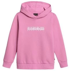 Napapijri B-Box 1 Hoodie